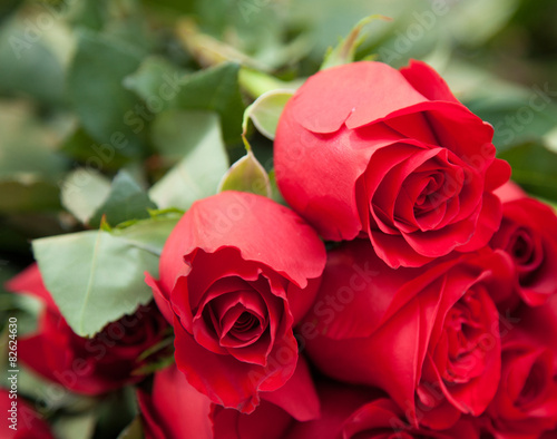 Bunch of red roses