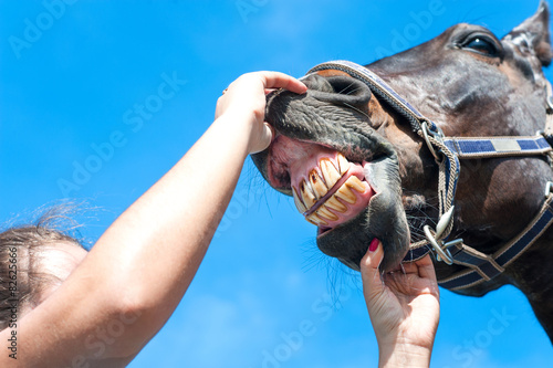 Owner checking horse teeth. Multicolored outdoors image.