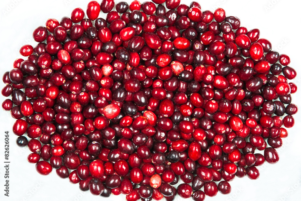 Cranberries isolated on white background Cranberries isolated on white background
