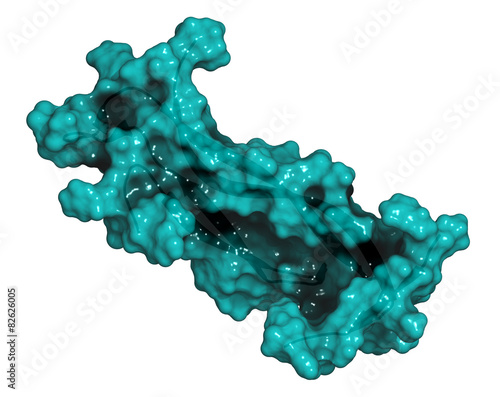 Interleukin 17 (IL-17A, IL-17) cytokine molecule. 