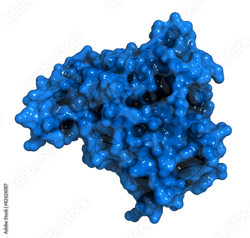 Phosphodiesterase 5 (PDE5) enzyme.  photo