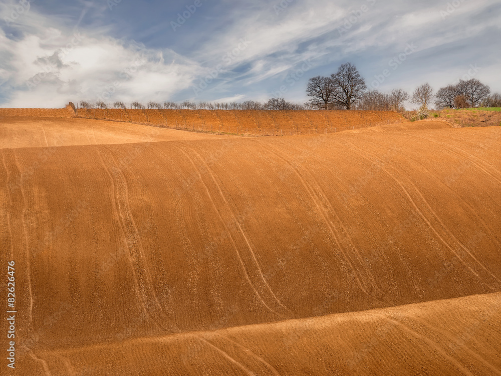 Fototapeta premium Spring view of a plowed field in Northeastern Bulgaria