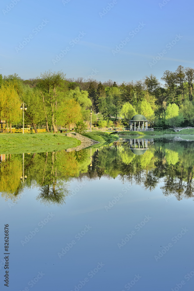 Красивое озеро в парке