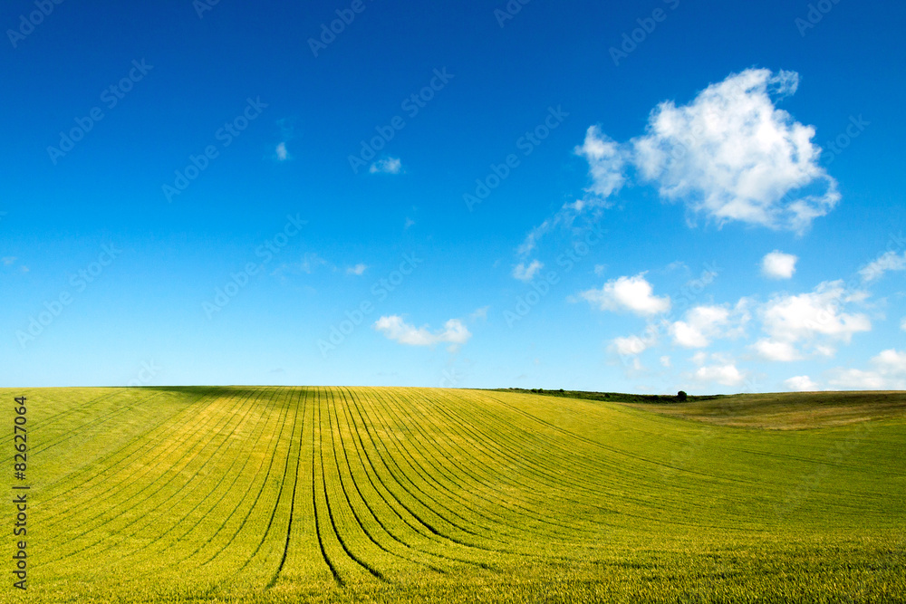 green field and blue sky with clouds in Picardy, France, Europe