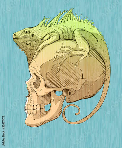 colorfull  iguana and scull