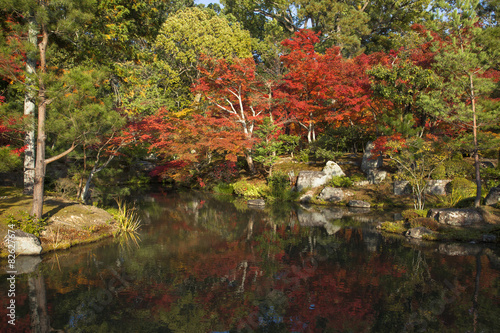 秋の京都・等持院庭園紅葉