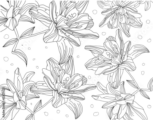 contour monochrome drawing of lilies on a white background