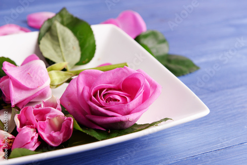 Beautiful pink roses in white plate on wooden table, closeup
