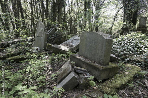 Cmentarz   ydowski
