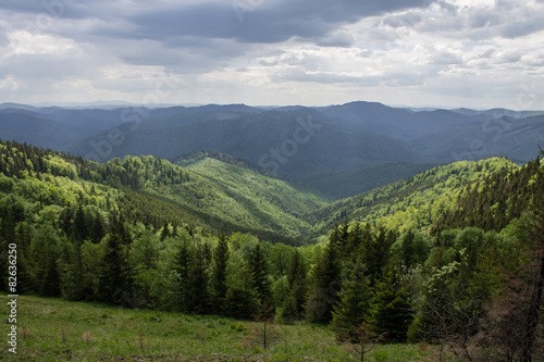 path in green summer mountains with white cloudy blue sky © Khrystyna Pochynok