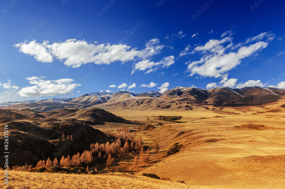 Naklejka premium Wild valley in Altai in spring