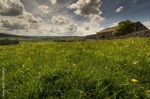 Appletreewick Pasture