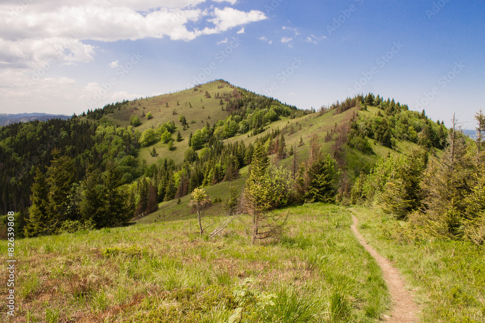 Fototapeta premium path in green summer mountains with white cloudy blue sky