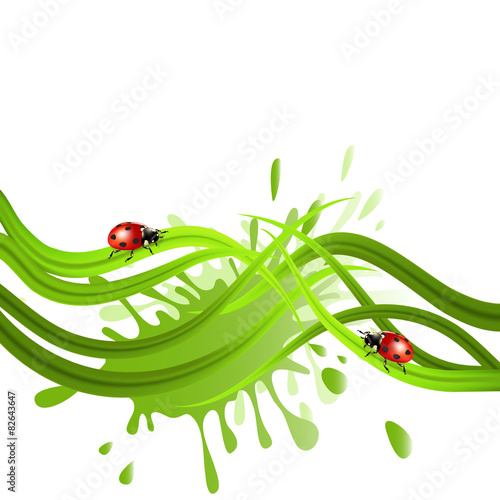 Ladybirds on grass abstract isolated on white