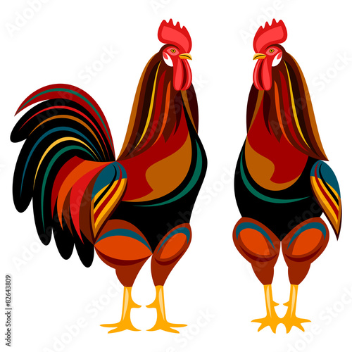 Rooster