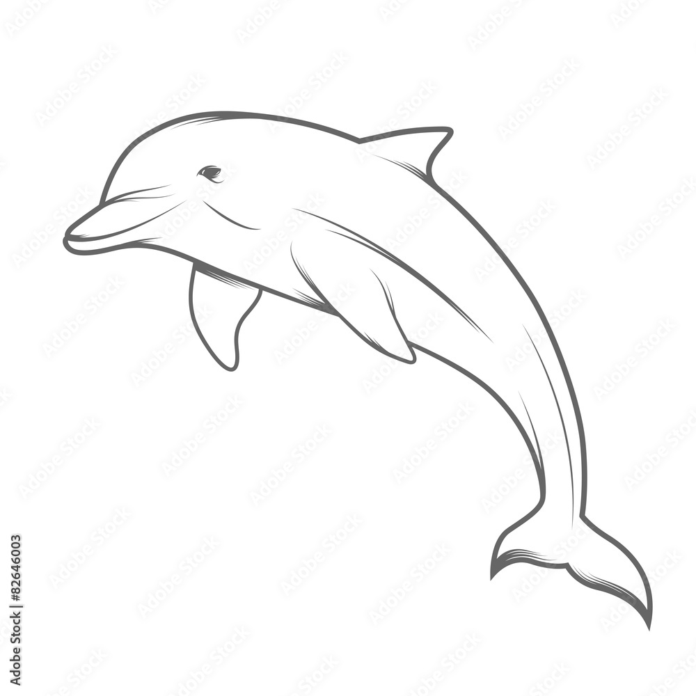 Fototapeta premium Dolphin illustration