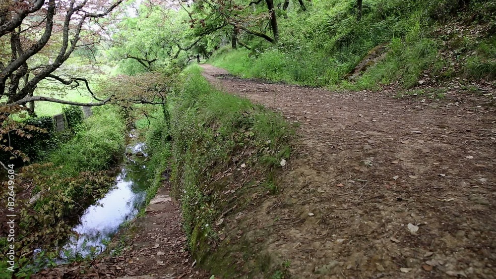 mountain bicycle riding in the woods close to a brook mountain bicycle riding in the woods close to a brook