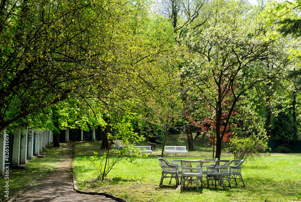 lawn furniture in garden