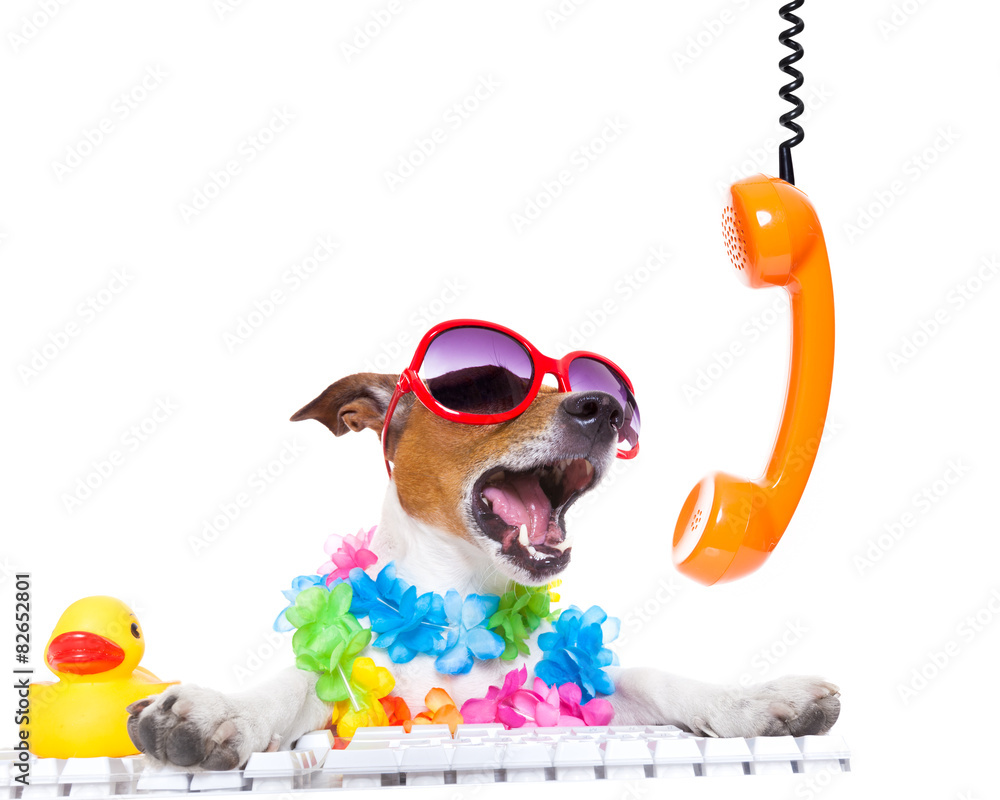 Fototapeta premium dog shouting on the phone