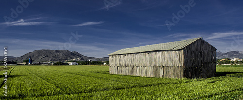 Paisaje rural de la Vega de Granada photo