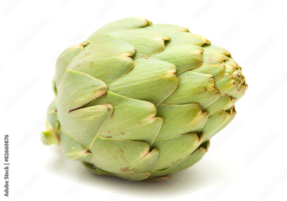 Obraz premium globe artichoke