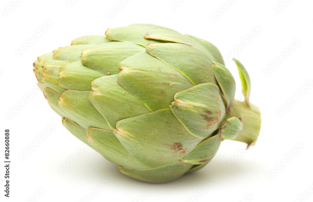 Obraz premium globe artichoke