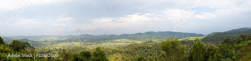 panorama mountain and forest.