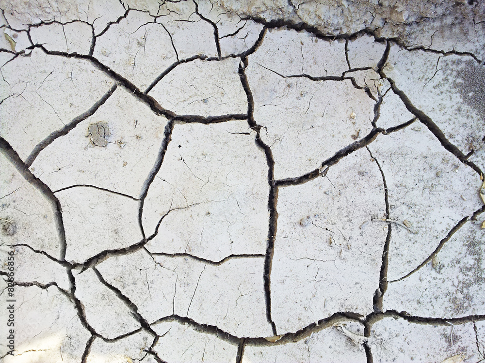 Fototapeta premium Dry land