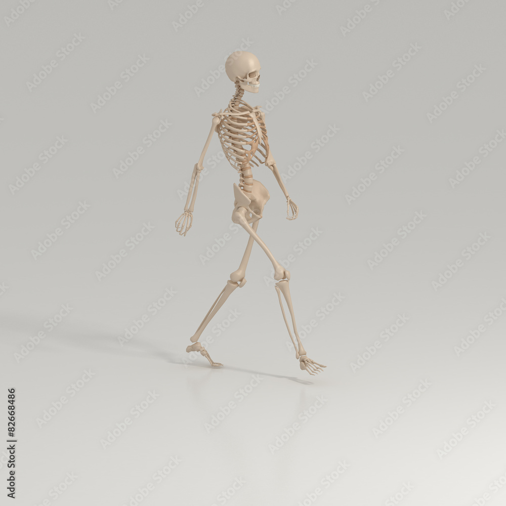 Walking skeleton