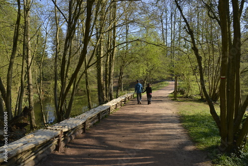 Chemin ombragé le long de la marre du parc Solvay-Tournai 