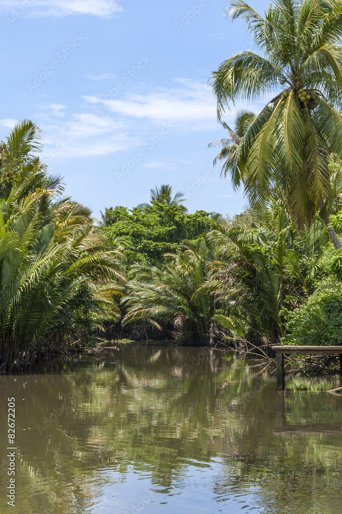 Nature background the river in Thailand