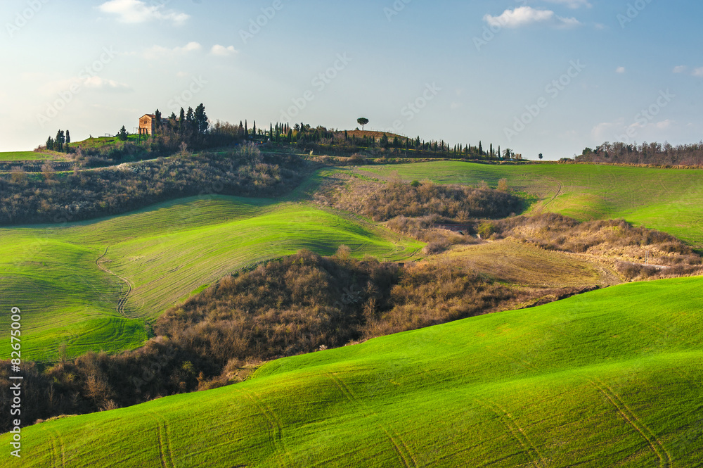 Beautiful fields, hills of Tuscany, Italy