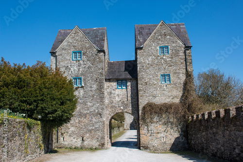 Lismore Castle Ireland photo