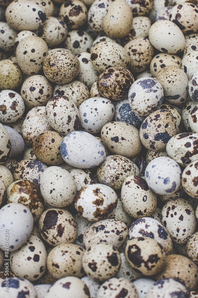 fresh quail eggs on a farmers market soft focus overhead-angle fresh quail eggs on a farmers market soft focus overhead-angle