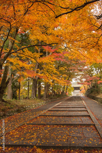 京都・毘沙門堂の紅葉