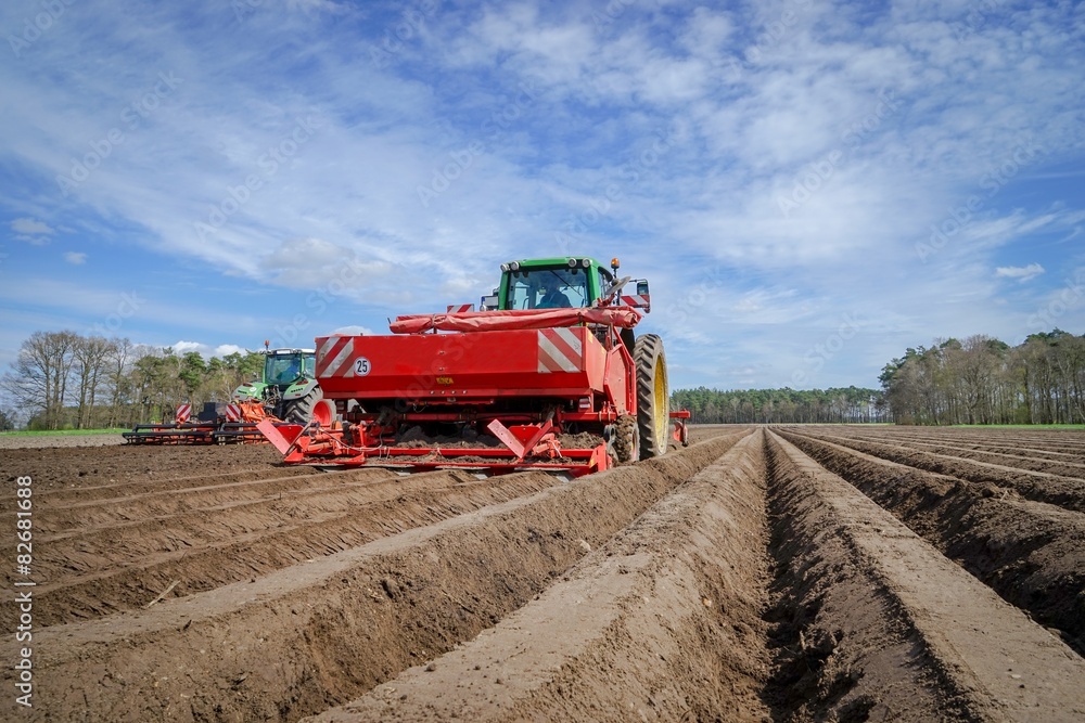 Obraz premium Landtechnik beim Legen der Saatkartoffeln, Froschperspektive