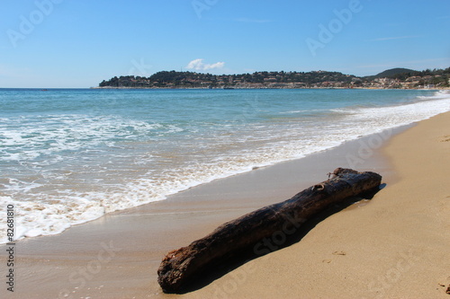 Plage de la Croix-Valmer, bois flotté photo