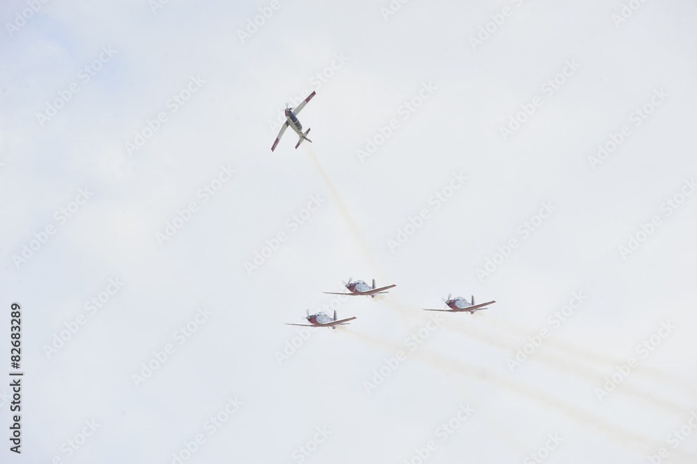 Synchronized flight of 4 planes in the team Synchronized flight of 4 planes in the team