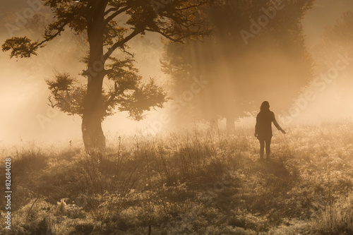 Silhouette of woman meditating in forest in a foggy morning