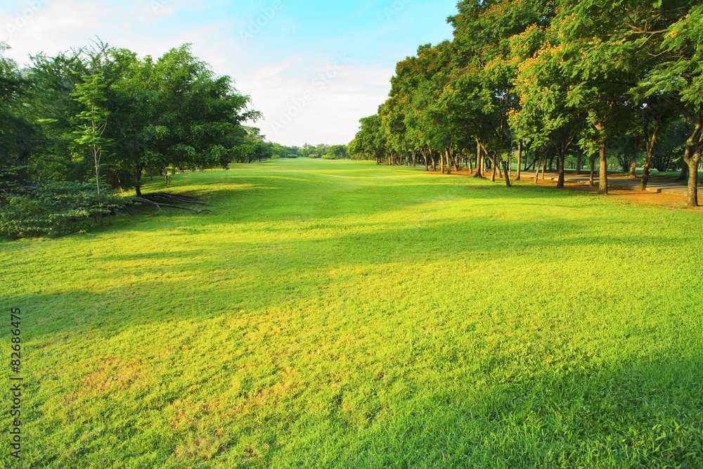 Obraz premium beautiful morning light in public park with green grass field an