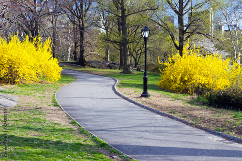 Path Through Central Park in New York City