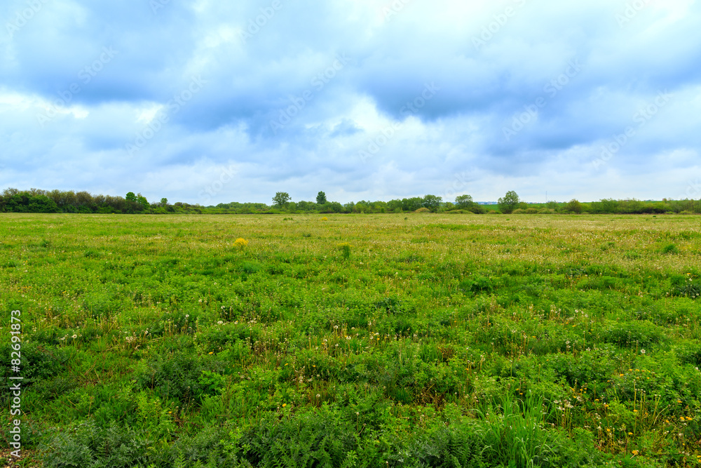 Green pastures