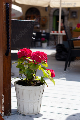 outdoor flowers in pot #82692634