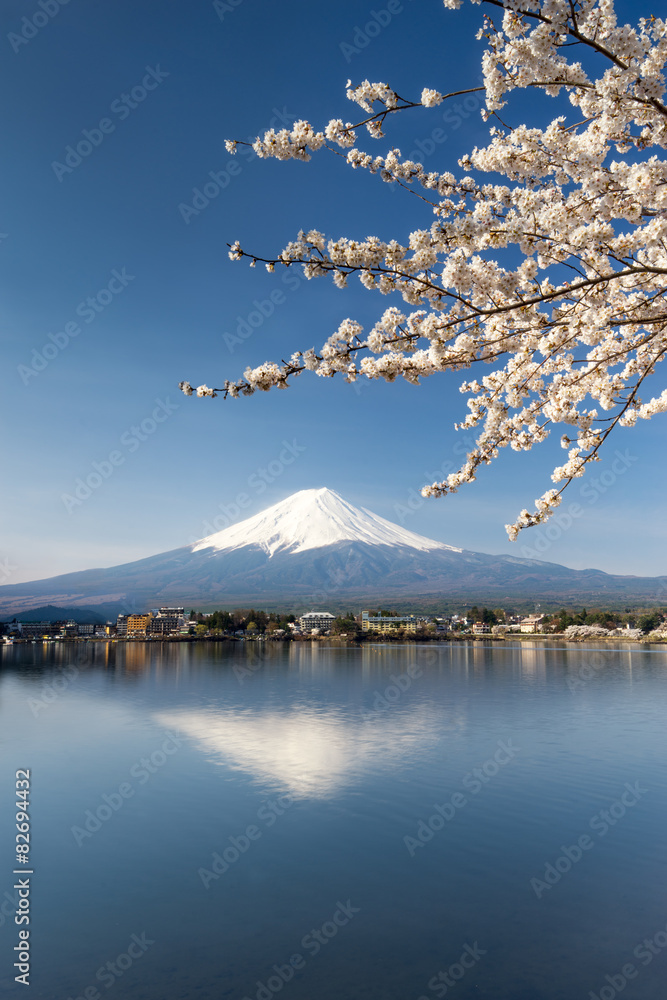 Naklejka premium Sakura in Kawaguchiko Japan 