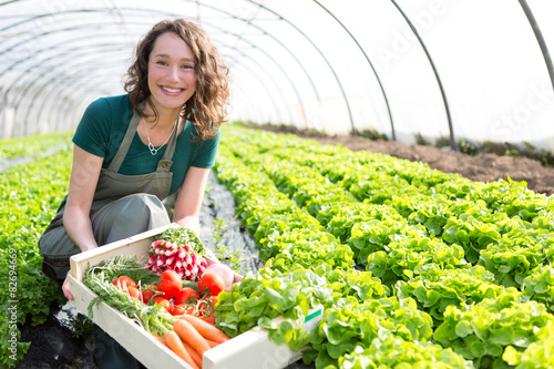 Fotografiet Young attractive woman harvesting vegetable in a greenhouse
