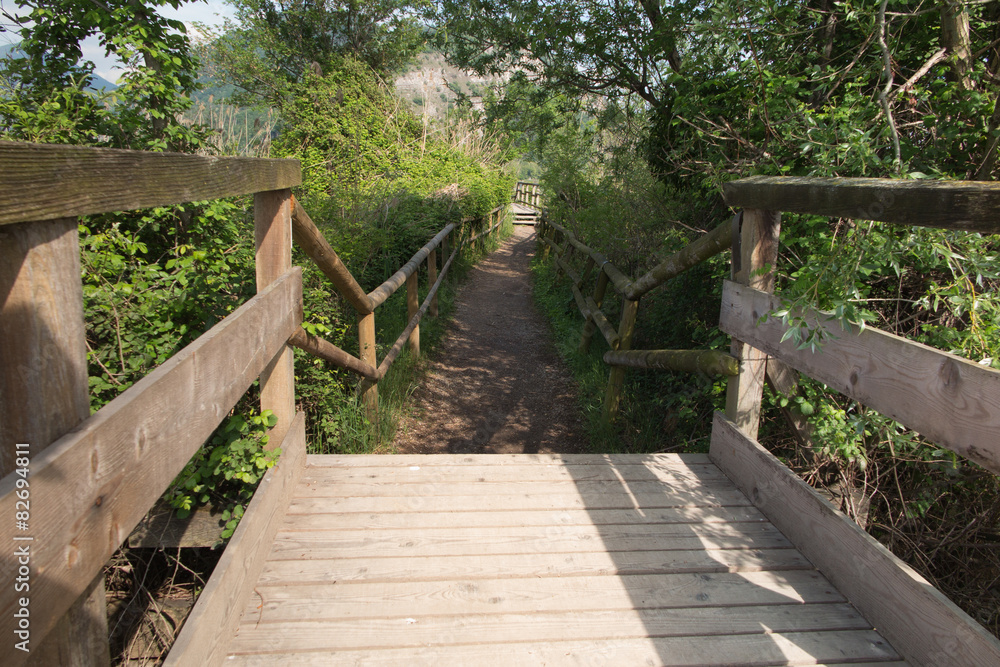 walk over the bridge in the woods walk over the bridge in the woods