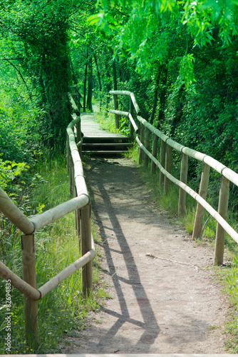 walk over the bridge in the woods