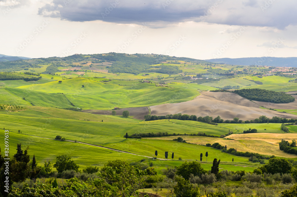 Fototapeta premium Toscana