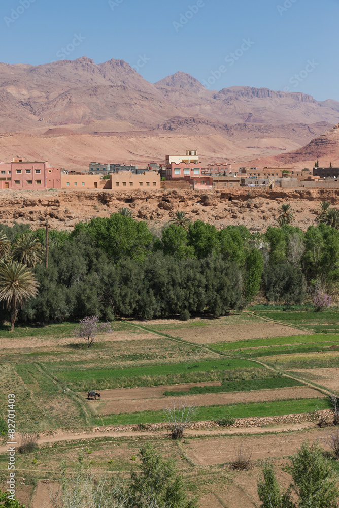 The agriculture at foothill in Tinghir city, Morocco