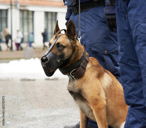 Border security dog composition © exopixel